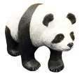 Beeld : panda