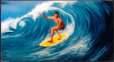 Caribisch surf nr. 4175 